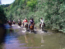 USA-California-Redwood Coast Ride